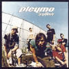 pleymo